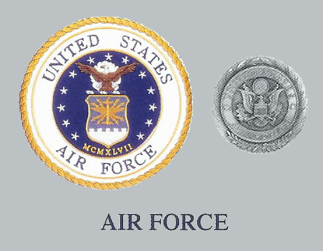 Air Force - Veteran's Panel and Medallion