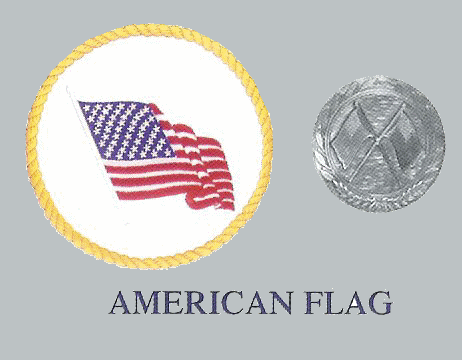 American Flag - Veteran's Panel and Medallion