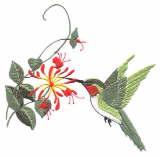Hummingbird w/Vine Flower