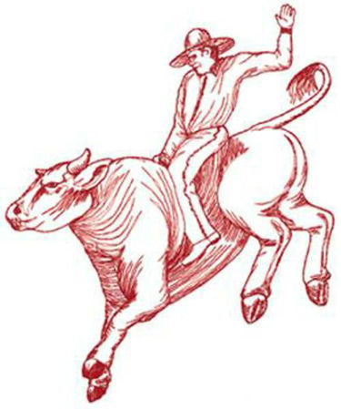Bull Rider