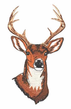 Deer Head