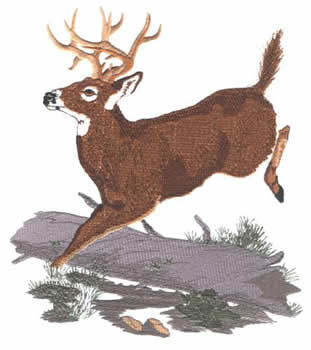 Deer Log Scene