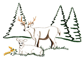 Deer Scene